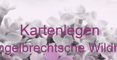 Kartenlegen Engelbrechtsche Wildnis | Top-Experten für Kartenlegen, Wahrsagen, Hellsehen, Zukunftsdeutung.